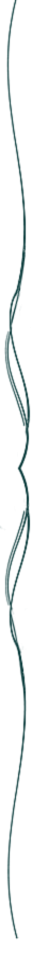 horizontaldivider
